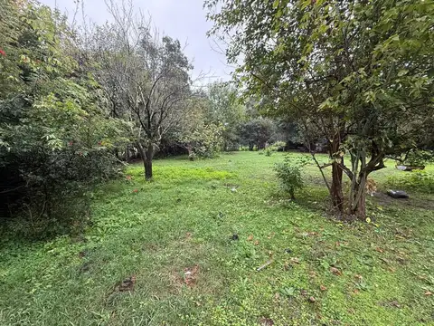 VENTA CASA QUINTA GRAL RODRIGUEZ 3750M2