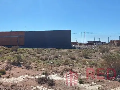 Terrenos linderos en Añelo