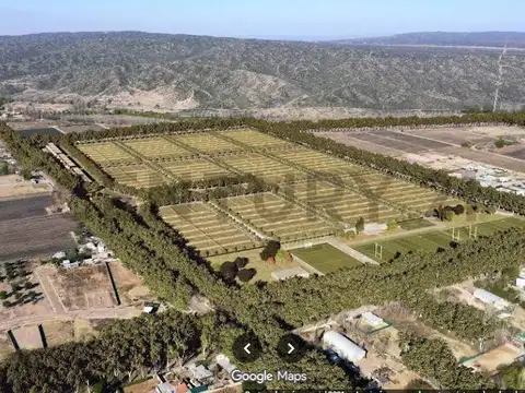 Terreno en Venta en Luján de Cuyo, USD 36.500
