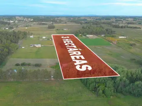 Venta de campo 3Ha. en Empalme Olmos