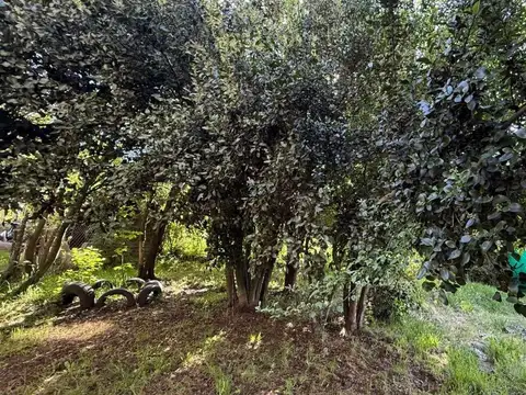 Oportunidad   Alpina en El Bolsón