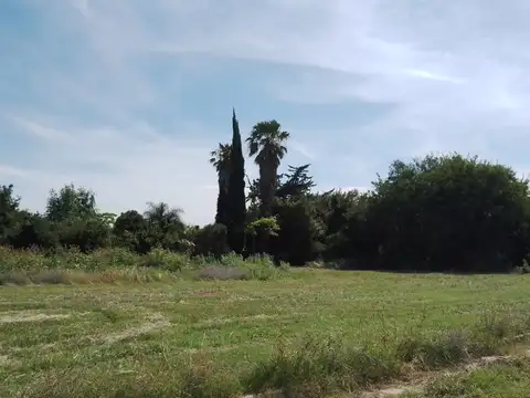 Terreno en Venta de 300,0 m2
