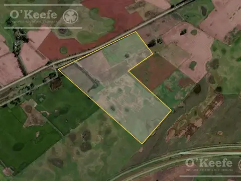 Campo en venta de 77 has en  Saladillo - Agricola ganadero