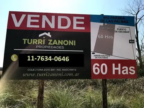 60 Hectáreas - Puerto de Escobar - Sobre Parana de las Palmas