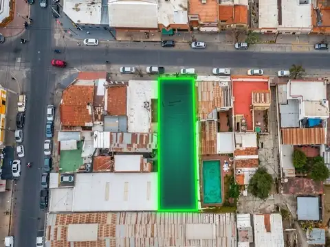 Macrocentro. 100