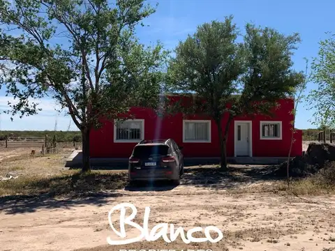 CAMPO GANADERO - LA PAMPA -