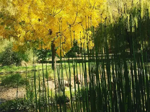 barrio privado los 4 elementos