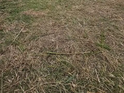 Terreno en Venta de 300,0 m2