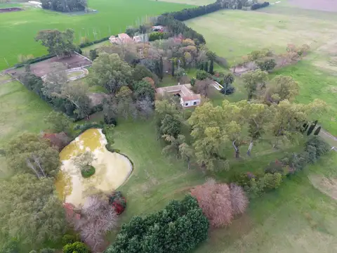 RETASADO : EXCEPCIONAL HARAS DE 55 HAS EN EL PARTIDO DE MERCEDES