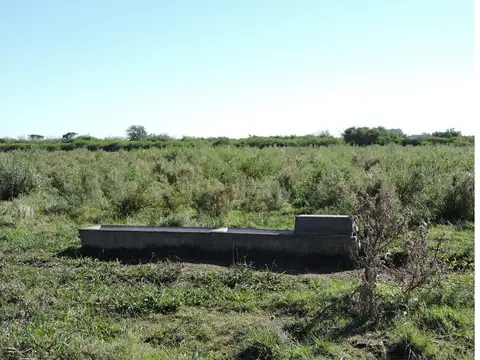 Campo de 230 Hás. en Gualeguaychú.