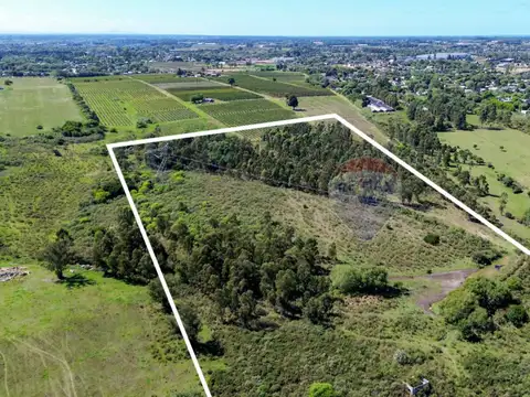 VENTA CAMPO / CHACRA 14 HECTAREAS BARROS BLANCOS