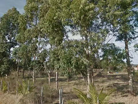 Terreno en Venta en Colonia Del Sacramento, USD 50.000