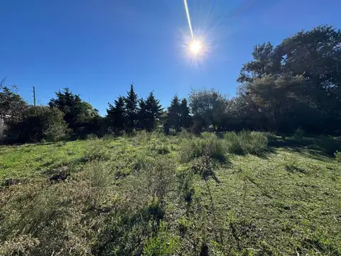 OPORTUNIDAD ÚNICA EN EXALTACION DE LA CRUZ – 4.046 m² SOBRE COLECTORA IDEAL INVERSIÓN