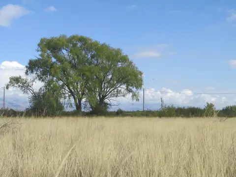 Finca en Venta 5,7 hectáreas Altamira Valle de Uco