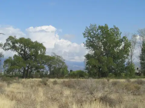 Finca en Venta 5,7 hectáreas Altamira Valle de Uco