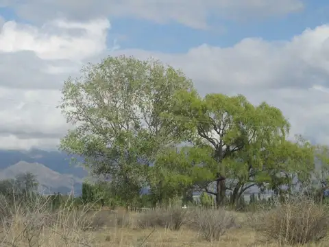 Finca en Venta 5,7 hectáreas Altamira Valle de Uco