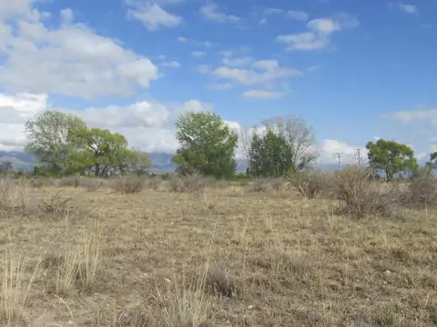 Bernardo Quiroga 100