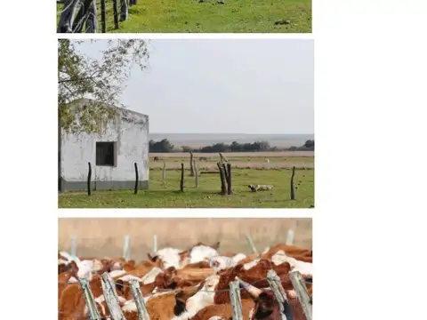 Campo en Venta de 4.892  ha