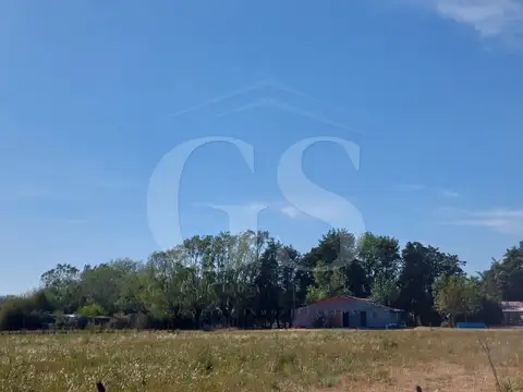 FORMOSA Y BARRAGAN - EXALTACION DE LA CRUZ S/N