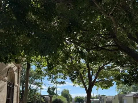 Local en Alquiler en San Antonio de Areco, USD 800