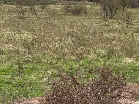 Campo en Venta de 122  ha