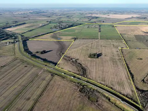 Campo en Venta de 406  ha
