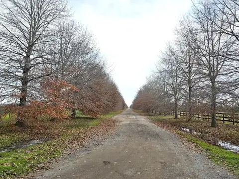 Campo en Venta Agricola