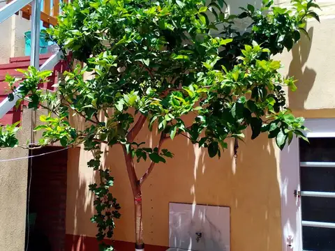Depto Tipo Casa en Venta de 1 dormitorio