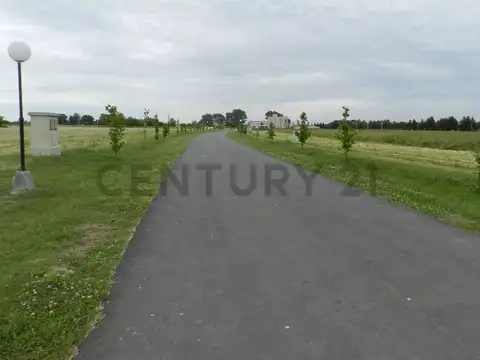 Terreno en Venta 76  mts Fondo