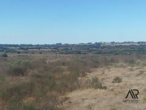 Paso 100