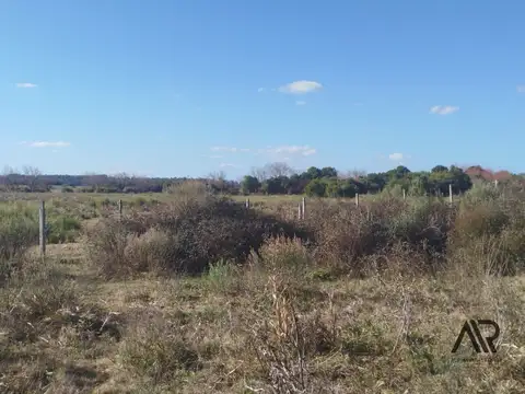 Venta chacra 28 hectáreas lindera arroyo San Carlos
