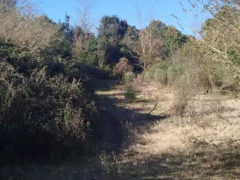 Paso 100