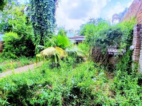 Segundo Sombra al 1900