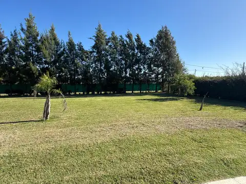 Las Acacias 100