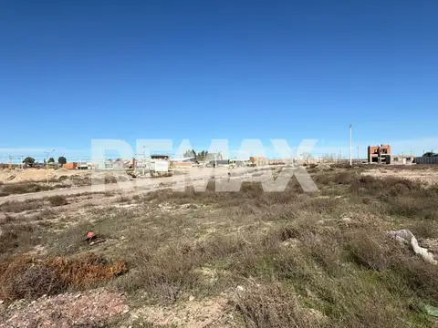 LOTE DE 600MTS EN CENTENARIO, NEUQUEN