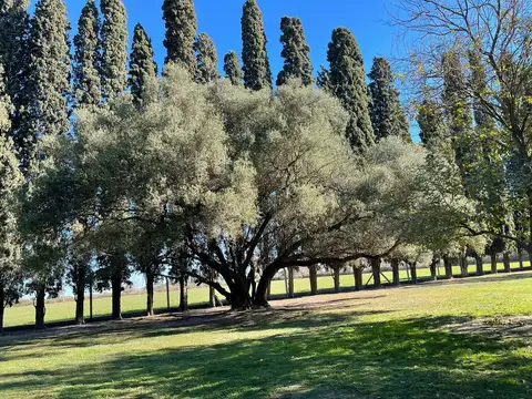 Quinta en Esperanza