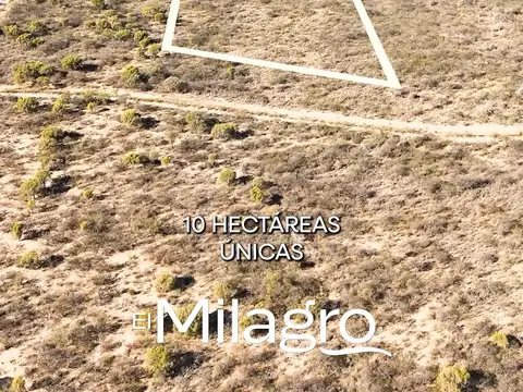 Ruta 146