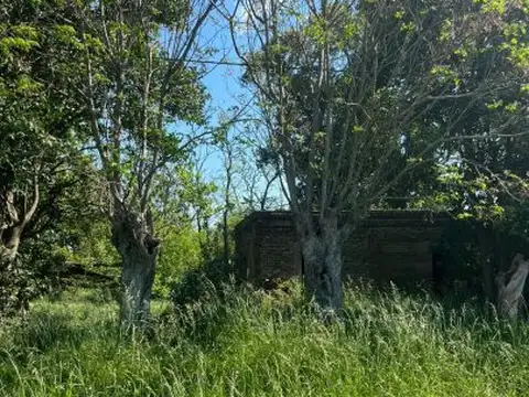 Terreno en Venta 43  mts Fondo