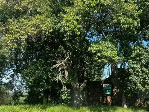 Terreno en Venta 21  mts Frente
