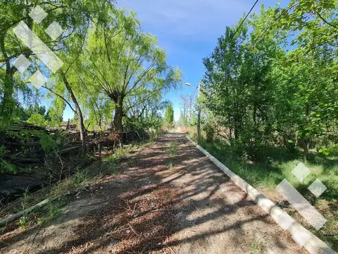 Terreno en Venta en Cervantes, USD 190.000