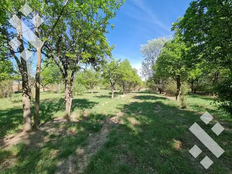 VENTA TERRENO 28.139 m2  EN CERVANTES – DPTO DE GRAL ROCA – PCIA DE RIO NEGRO