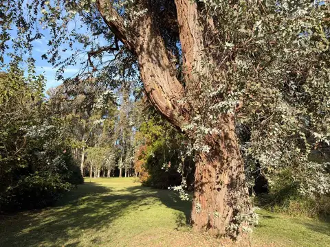 VENTA LOTE LAS PRADERAS DE LUJAN
