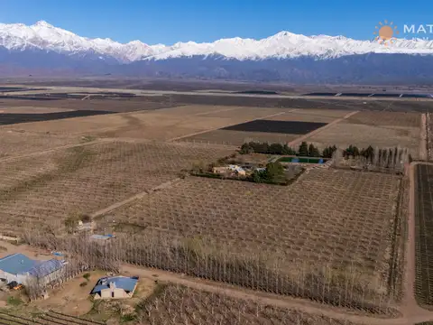 Finca en venta en Los Arboles