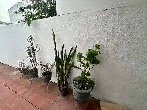 Depto Tipo Casa en Alquiler de 1 dormitorio