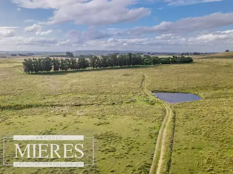 Campo de 50ha Ganadero, ubicado a 30 km de José Ignacio