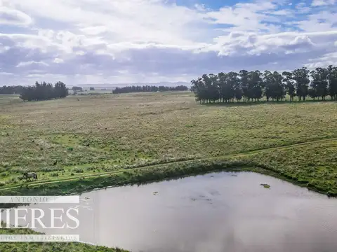 Campo de 50ha Ganadero, ubicado a 30 km de José Ignacio