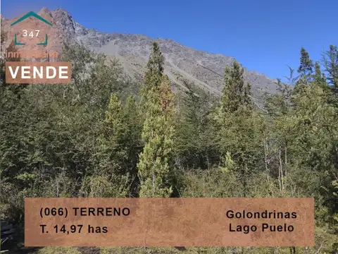 (066) LAS GOLONDRINAS, terreno de 14,97 has.