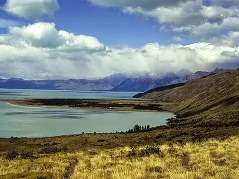 BUEN CAMPO GANADERO.