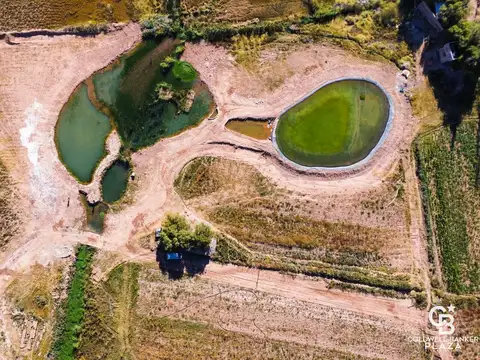 Terreno en Venta de 1257,0 m2