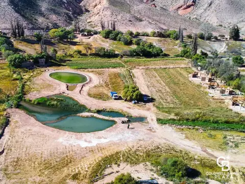 Terreno en Venta de 1257,0 m2